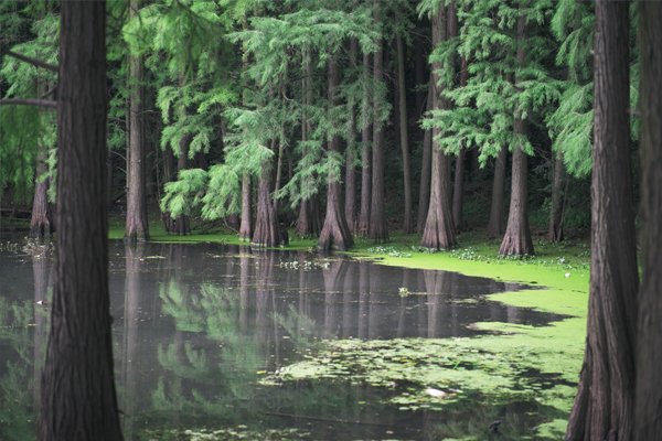 Water & Wastewater Management